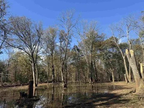 000 Alex Brown Rd, Sherrill, AR 72152 photo 46