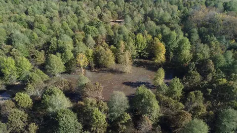 000 Alex Brown Rd, Sherrill, AR 72152 photo 40