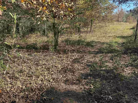 000 Alex Brown Rd, Sherrill, AR 72152 photo 13