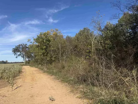 000 Alex Brown Rd, Sherrill, AR 72152 photo 17