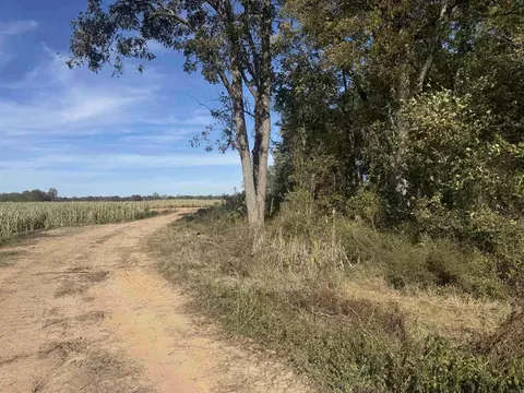 000 Alex Brown Rd, Sherrill, AR 72152 photo 18