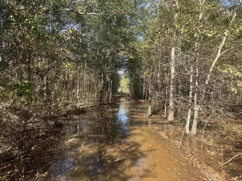 000 Alex Brown Rd, Sherrill, AR 72152 photo 24