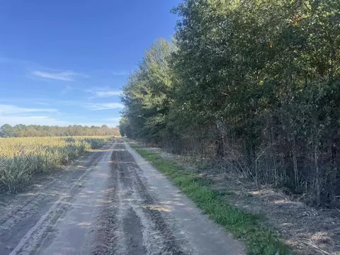 000 Alex Brown Rd, Sherrill, AR 72152 photo 19