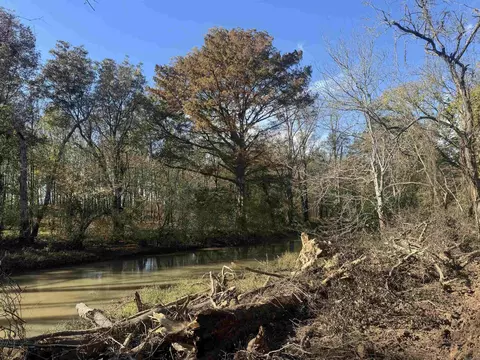 000 Alex Brown Rd, Sherrill, AR 72152 photo 5