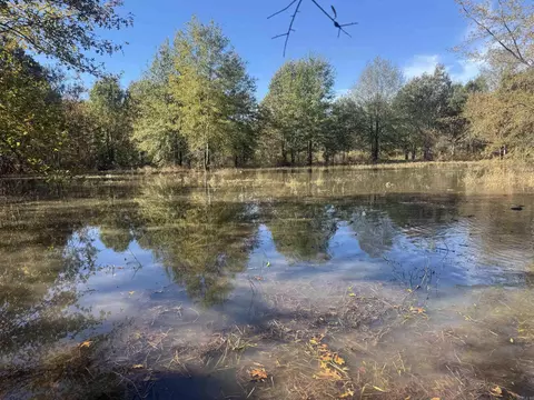 000 Alex Brown Rd, Sherrill, AR 72152 photo 31