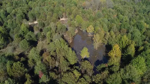000 Alex Brown Rd, Sherrill, AR 72152 photo 41