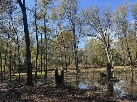 000 Alex Brown Rd, Sherrill, AR 72152 photo 7