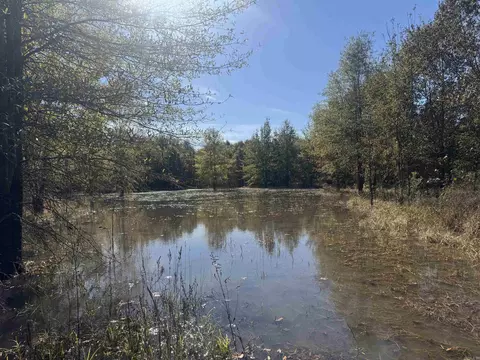 000 Alex Brown Rd, Sherrill, AR 72152 photo 32