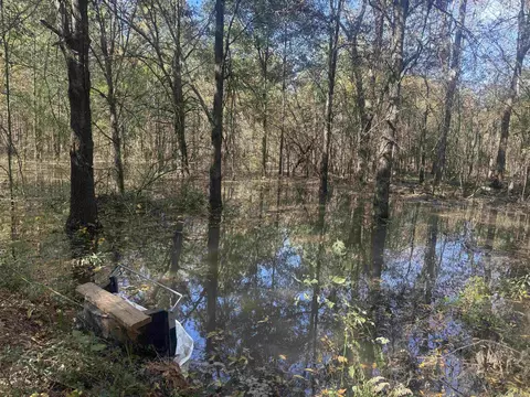 000 Alex Brown Rd, Sherrill, AR 72152 photo 35