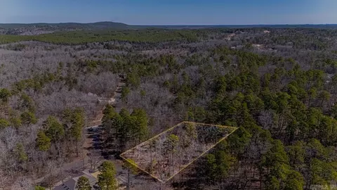 48 Campeon Way, Hot Springs Village, AR 71909