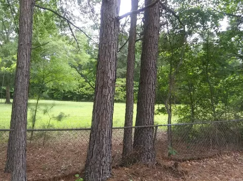 E Hensley Rd., Hensley, AR 72065 photo 2