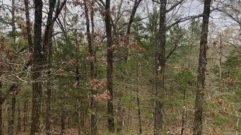 116 Simpson Rd, Vilonia, AR 72173 photo 9
