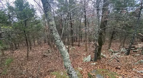 116 Simpson Rd, Vilonia, AR 72173 photo 6