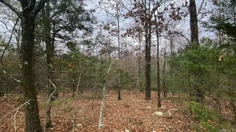 116 Simpson Rd, Vilonia, AR 72173 photo 5