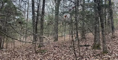 116 Simpson Rd, Vilonia, AR 72173 photo 8