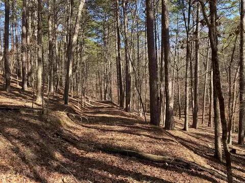 16 Hillside Trl, Mount Ida, AR 71957 photo 5