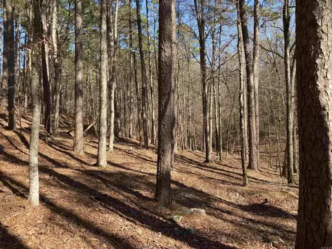 16 Hillside Trl, Mount Ida, AR 71957 photo 7