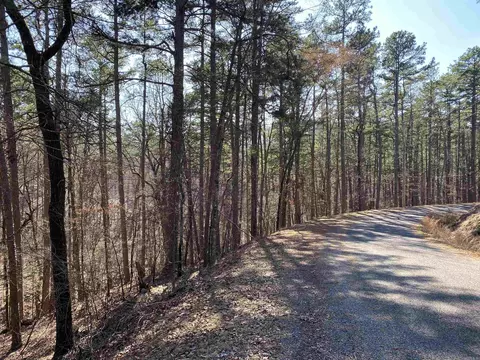 16 Hillside Trl, Mount Ida, AR 71957 photo 9