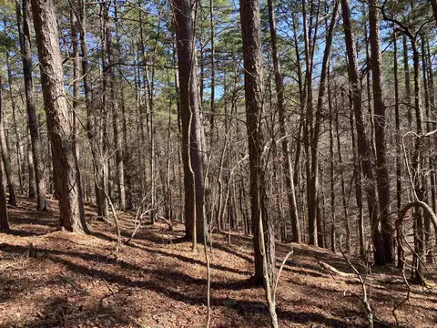 16 Hillside Trl, Mount Ida, AR 71957