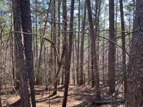 16 Hillside Trl, Mount Ida, AR 71957 photo 2
