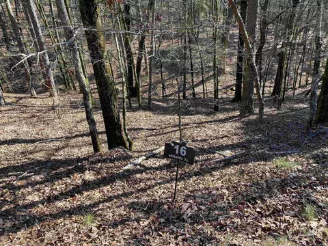 16 Hillside Trl, Mount Ida, AR 71957 photo 8