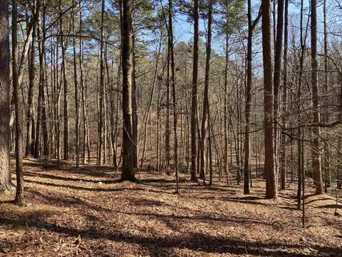 16 Hillside Trl, Mount Ida, AR 71957 photo 4