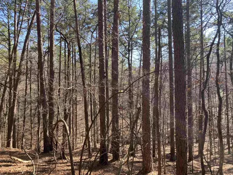 16 Hillside Trl, Mount Ida, AR 71957 photo 3