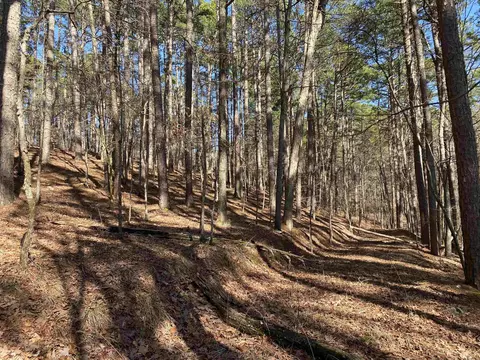 16 Hillside Trl, Mount Ida, AR 71957 photo 6