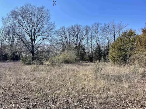 000 Brewer Rd, Conway, AR 72032 photo 28