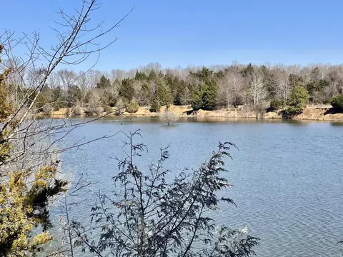000 Brewer Rd, Conway, AR 72032 photo 33
