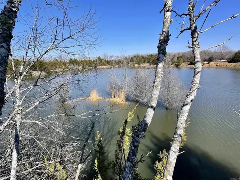 000 Brewer Rd, Conway, AR 72032 photo 35