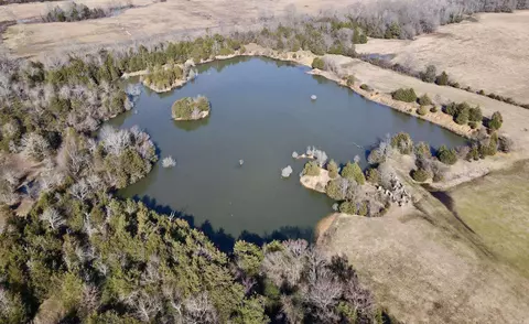 000 Brewer Rd, Conway, AR 72032 photo 11