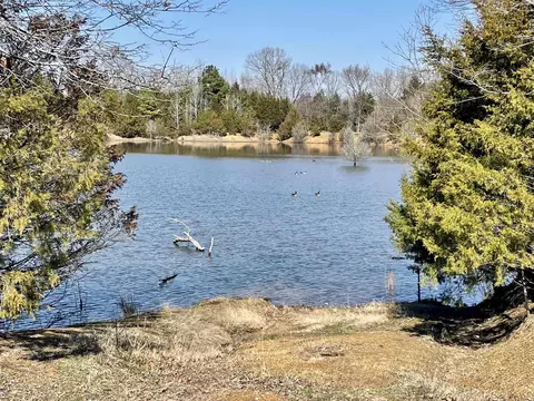 000 Brewer Rd, Conway, AR 72032 photo 38