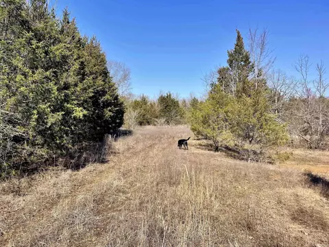 000 Brewer Rd, Conway, AR 72032 photo 27