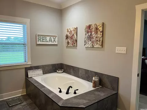 145 Ashley Horton Ln, Antioch, AR 72012 photo 10