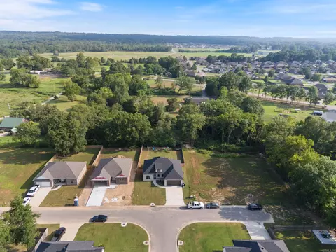 View/Area - 2 Dandelion Dr, Greenbrier, AR 72058 photo 6 of 6