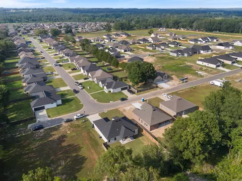 View/Area - 2 Dandelion Dr, Greenbrier, AR 72058 photo 4 of 6