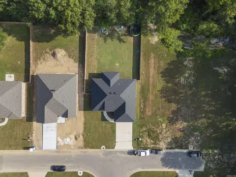 View/Area - 2 Dandelion Dr, Greenbrier, AR 72058 photo 2 of 6