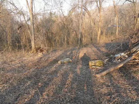 705 E Main St, Marshall, AR 72650 photo 7
