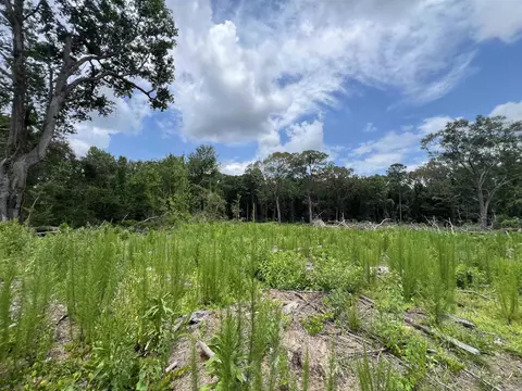 000 W University St, Magnolia, AR 71753