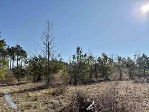 607 Grant County Rd 24, Grapevine, AR 72057 photo 8