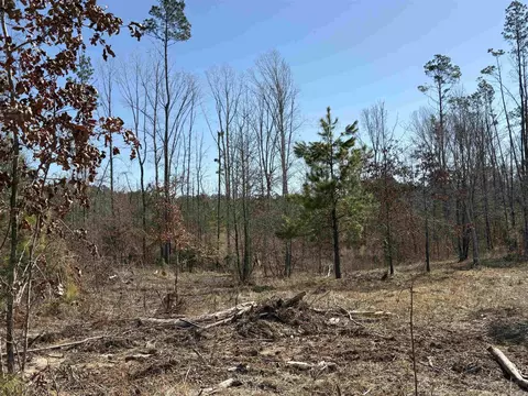 607 Grant County Rd 24, Grapevine, AR 72057 photo 13
