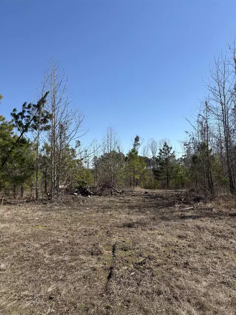 607 Grant County Rd 24, Grapevine, AR 72057 photo 10
