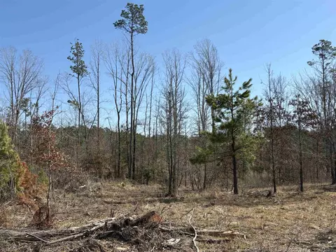 607 Grant County Rd 24, Grapevine, AR 72057 photo 14