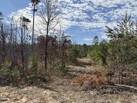 607 Grant County Rd 24, Grapevine, AR 72057 photo 6