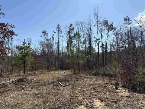 607 Grant County Rd 24, Grapevine, AR 72057 photo 12