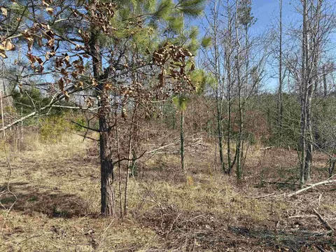 607 Grant County Rd 24, Grapevine, AR 72057 photo 7