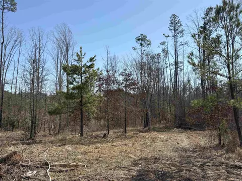 607 Grant County Rd 24, Grapevine, AR 72057 photo 15