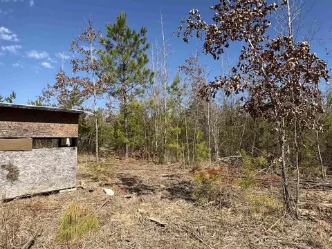 607 Grant County Rd 24, Grapevine, AR 72057 photo 16