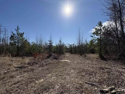 607 Grant County Rd 24, Grapevine, AR 72057 photo 11